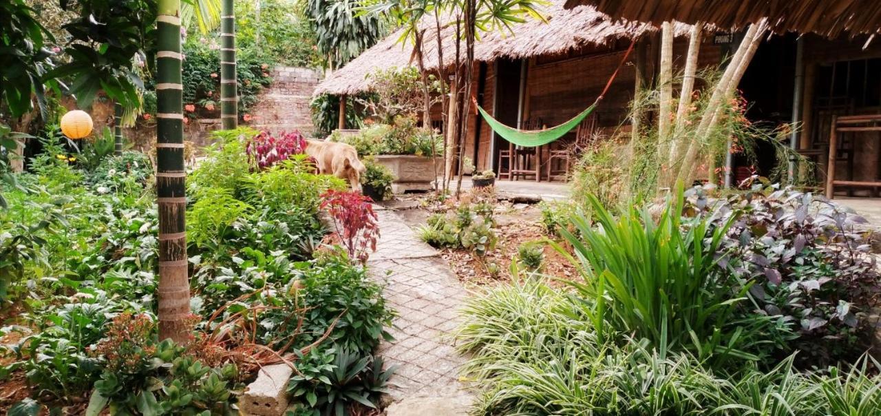 Family Homestay Ba Vi Exteriér fotografie
